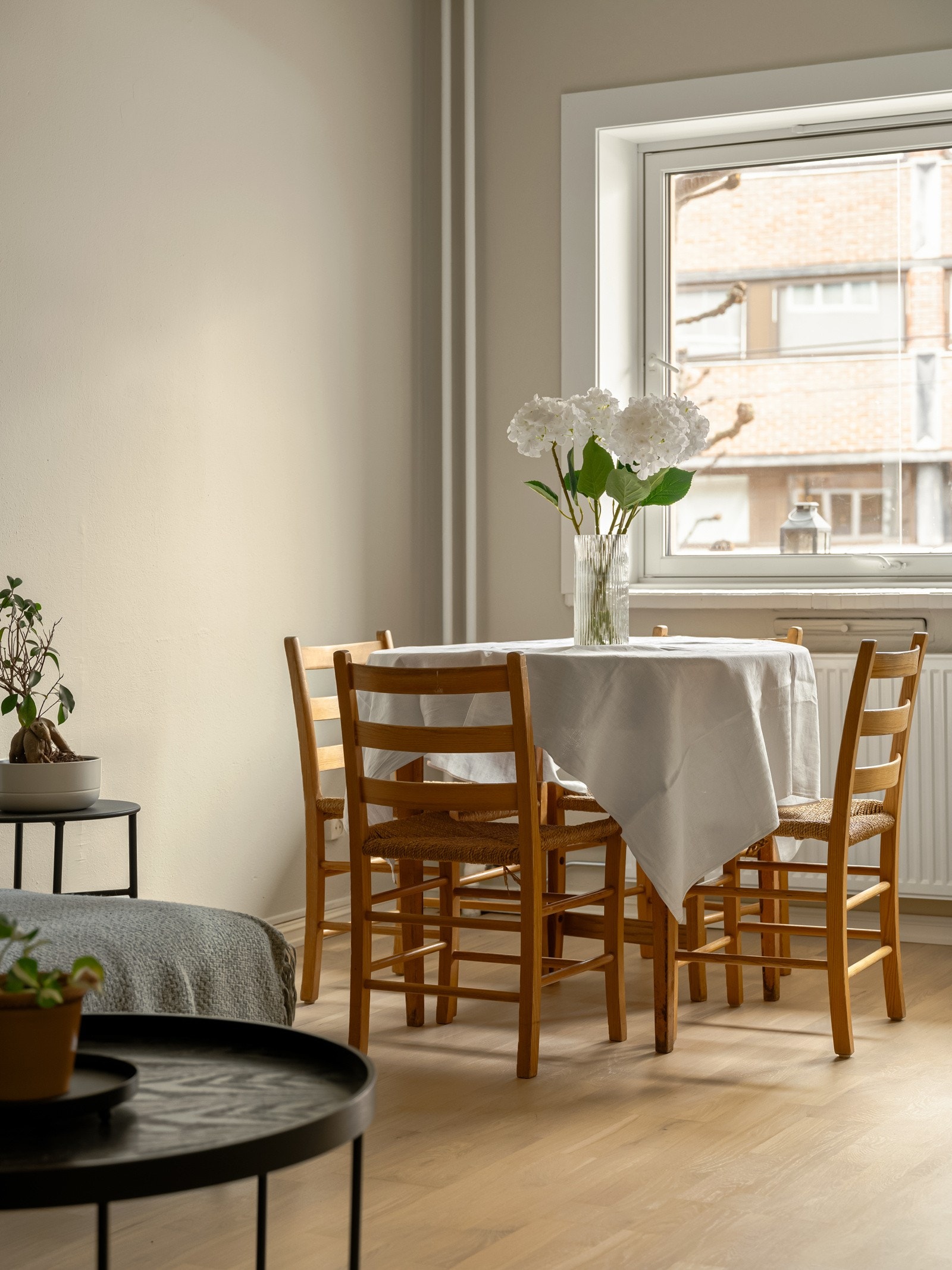 Sees vi? Galleribilde