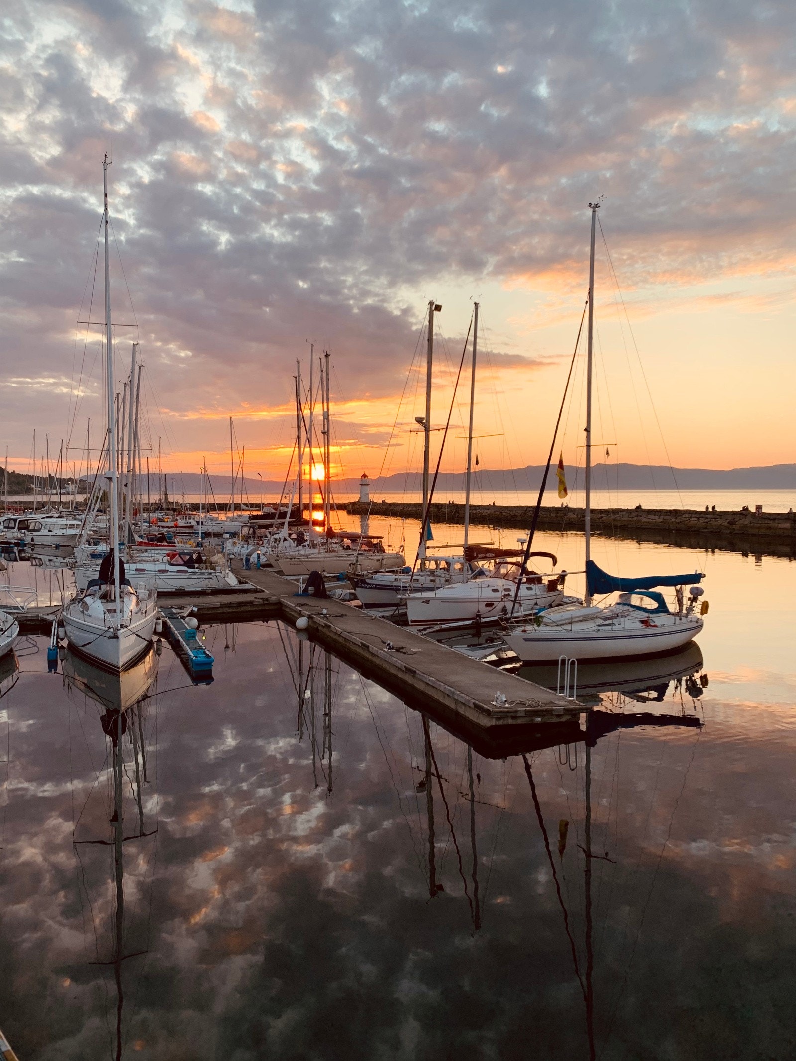 Bildet fra nærområdet. Galleribilde