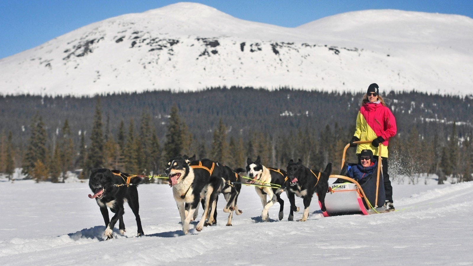 Turer i nærmiljøet Galleribilde