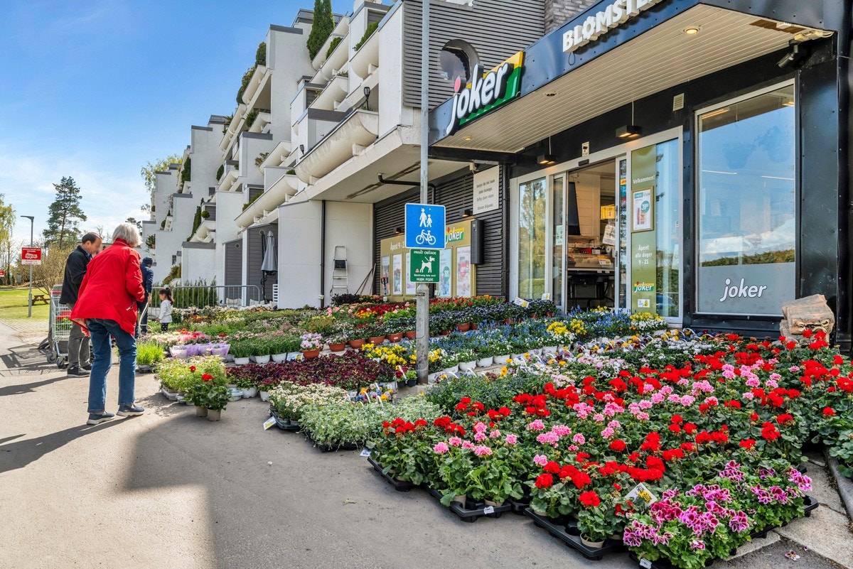 Joker i Ostadalsveien Galleribilde