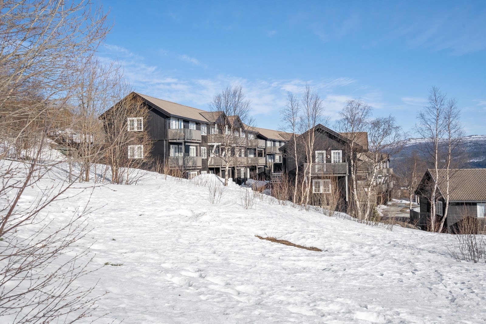 Kombinasjonen med umiddelbar nærhet til alpint og langrenn samt gåavstand til Oppdal sentrum gjør beliggenheten unik Galleribilde