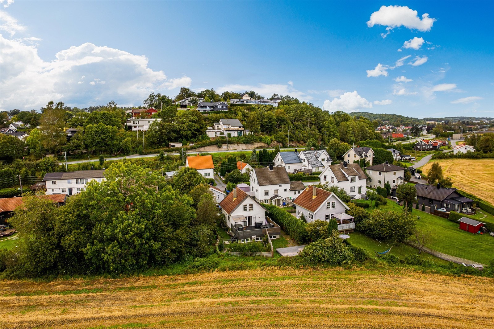 Beliggende fredfult mot åker Galleribilde