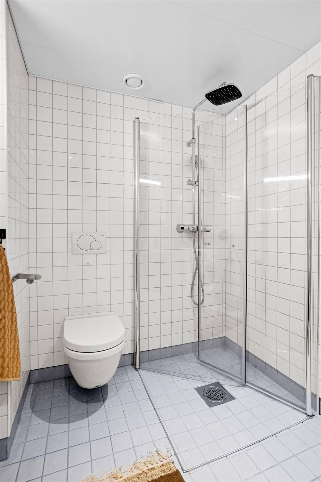 Badet inneholder veggmontert toalett, servant med underskap og ett-greps blande batteri, speilskap med lys, samt dusj med veggmonterte glassdører Galleribilde