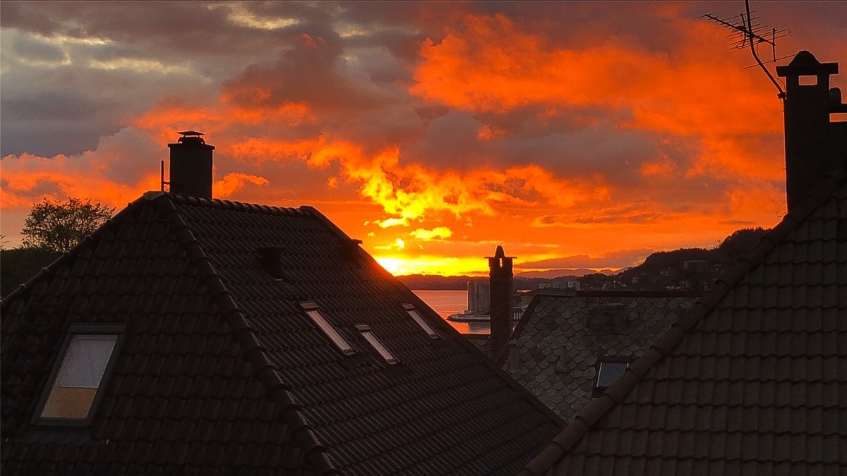 selgerfoto-solnedgang Galleribilde