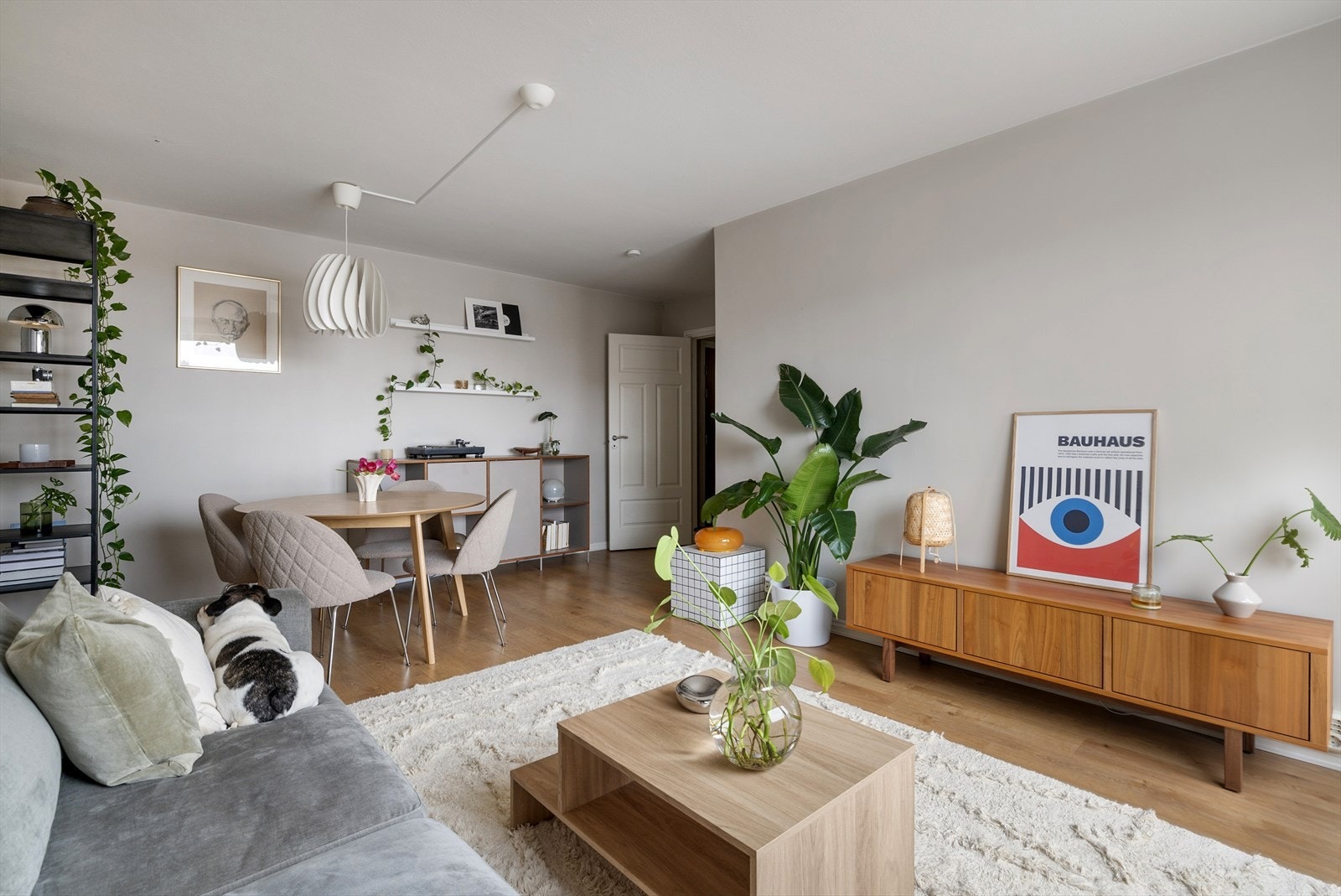 Har du noen spørsmål? Kontakt Samy Sebastian Khadra - (t): 958 20 110 - Nordvik Grünerløkka Galleribilde