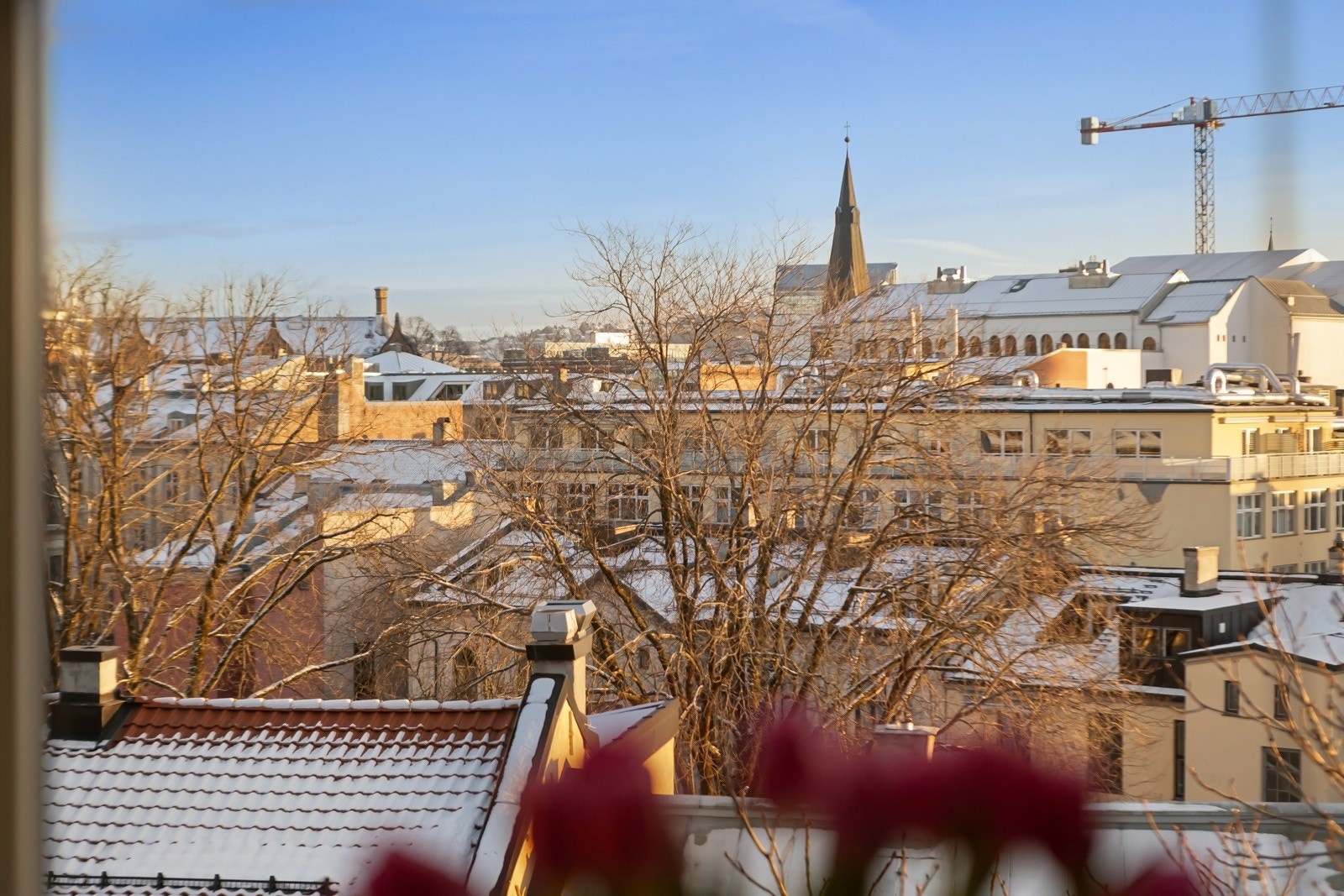 Borettslaget har en skjermet beliggenhet i parken og er omkranset av flere store trær. Galleribilde