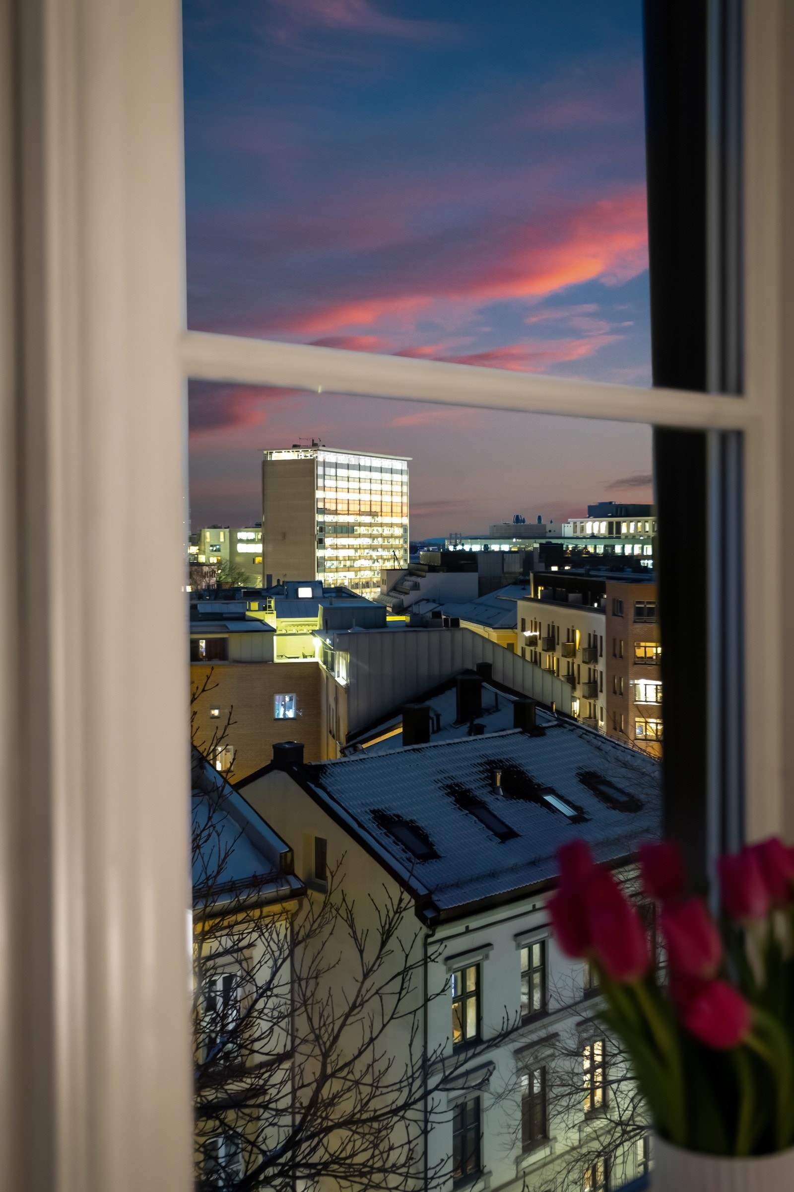 Den samme fine utsikten har man fra stuevinduene. Galleribilde