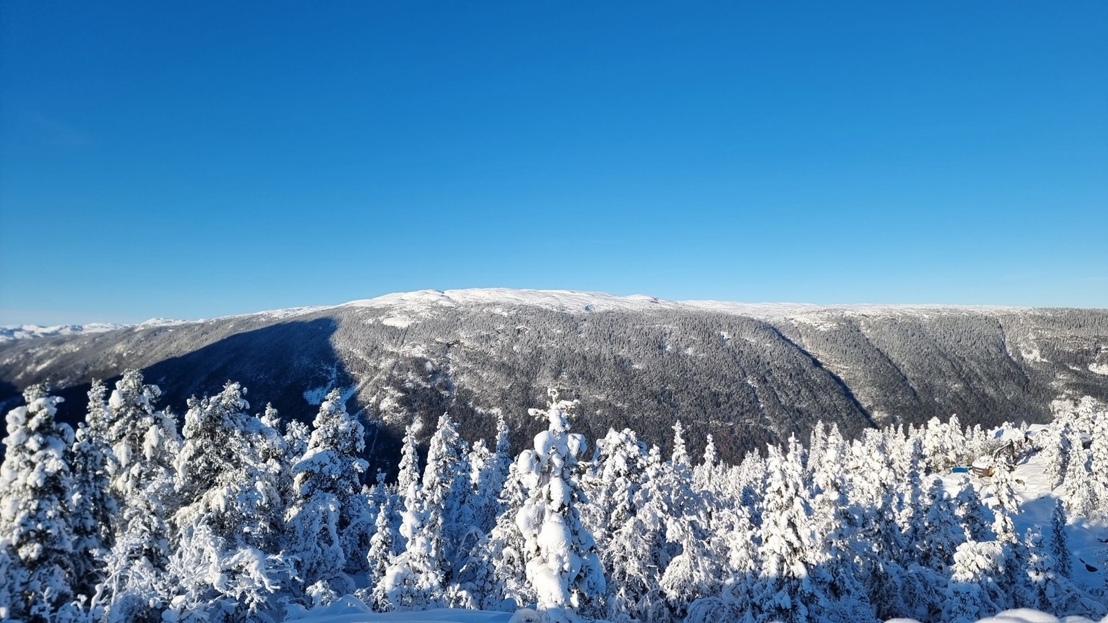 Utsikt fra tomteområdet Galleribilde