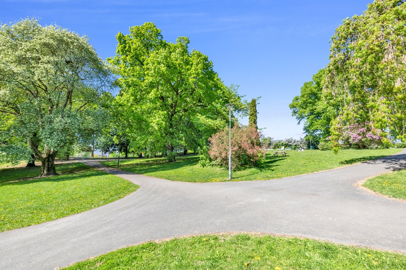 - Bjølsenparken som din nabo - Galleribilde