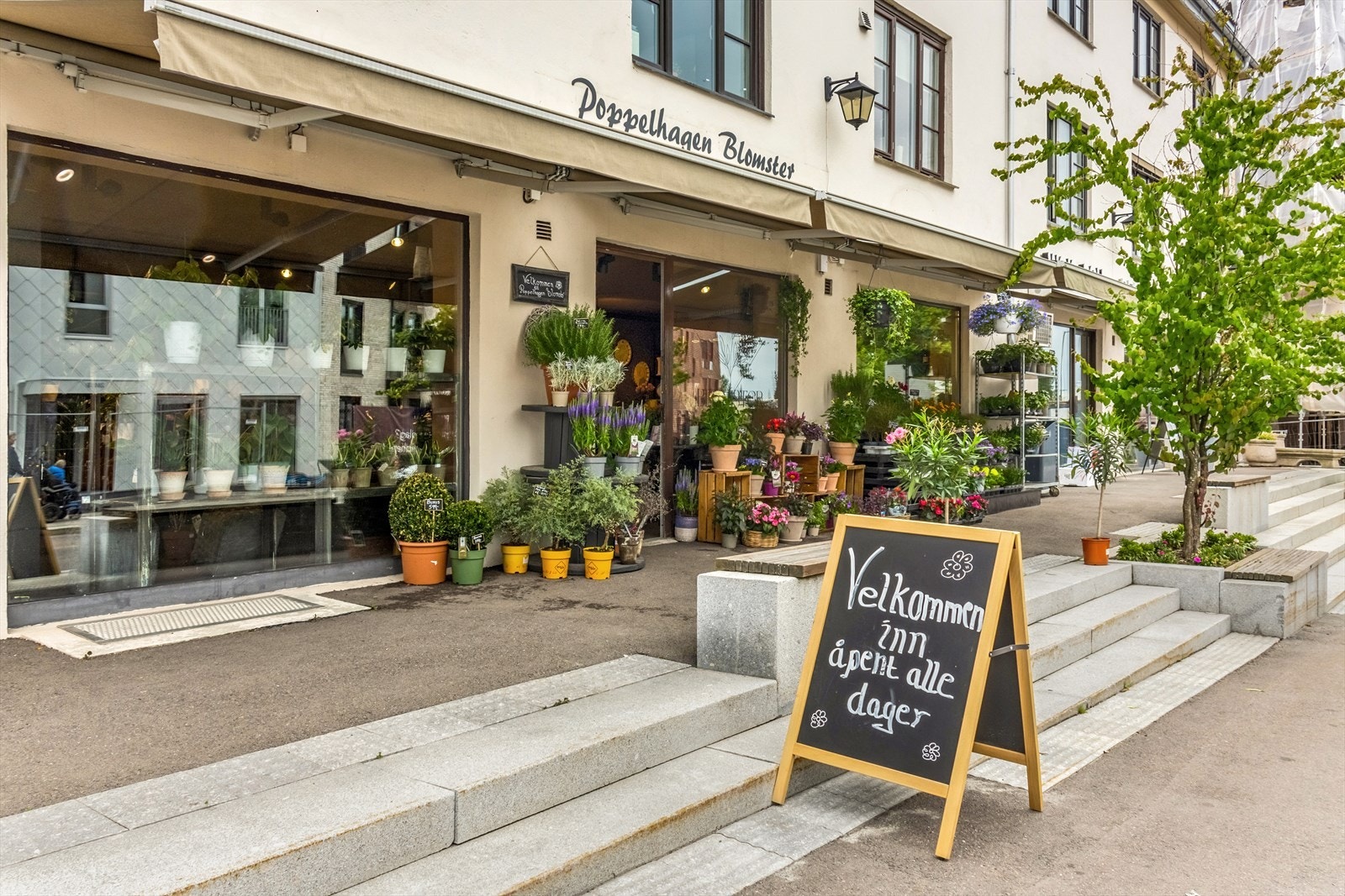 Poppelhagen blomster Galleribilde