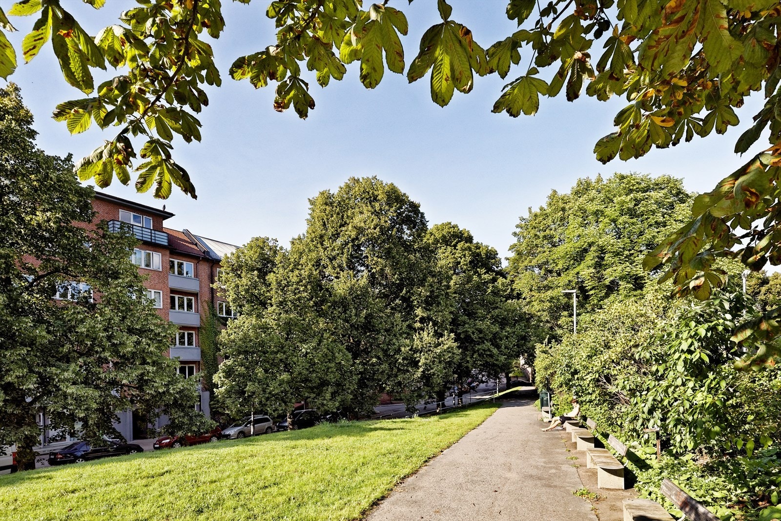 Fagerborg er et stille og fint område å bo på med grøntarealer, lekeplasser og nærhet til Norges beste handlegate, Bogstadveien Galleribilde