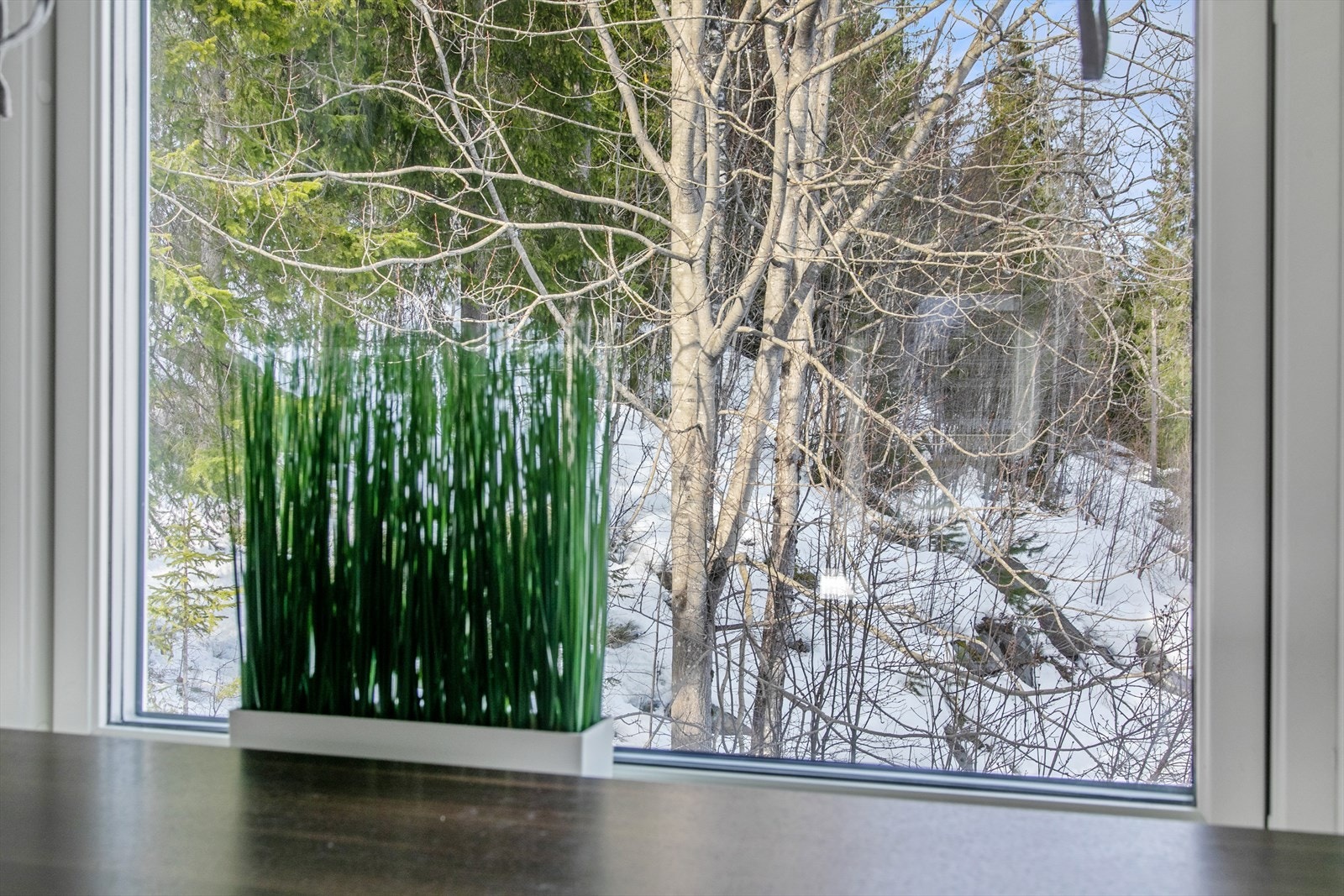 Utsikt fra kjøkkenvindu ut mot friområde. Galleribilde