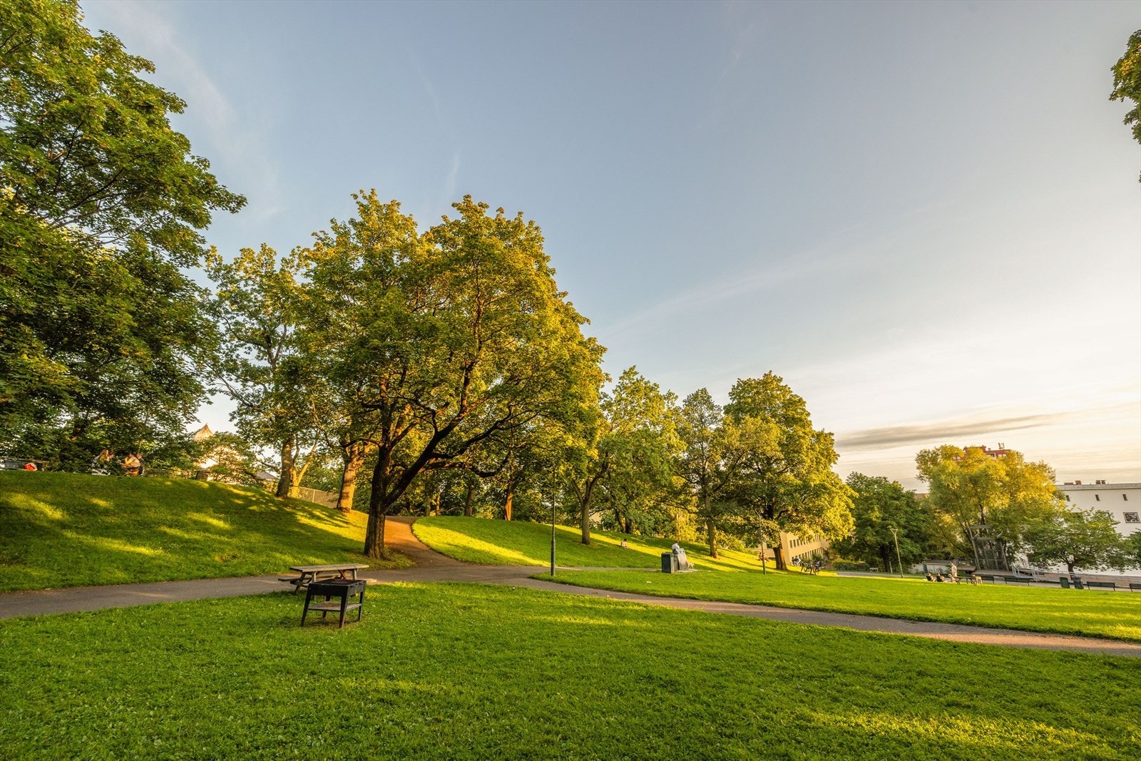 Bjølsenparken er en grønn oase som innbyr til avslapning, lek og koselige spaserturer blant flott trær og åpne plener. Galleribilde