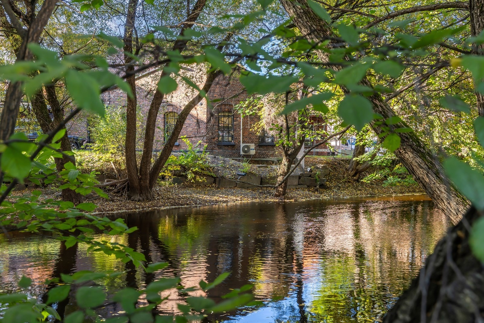 Nærområdet. Galleribilde