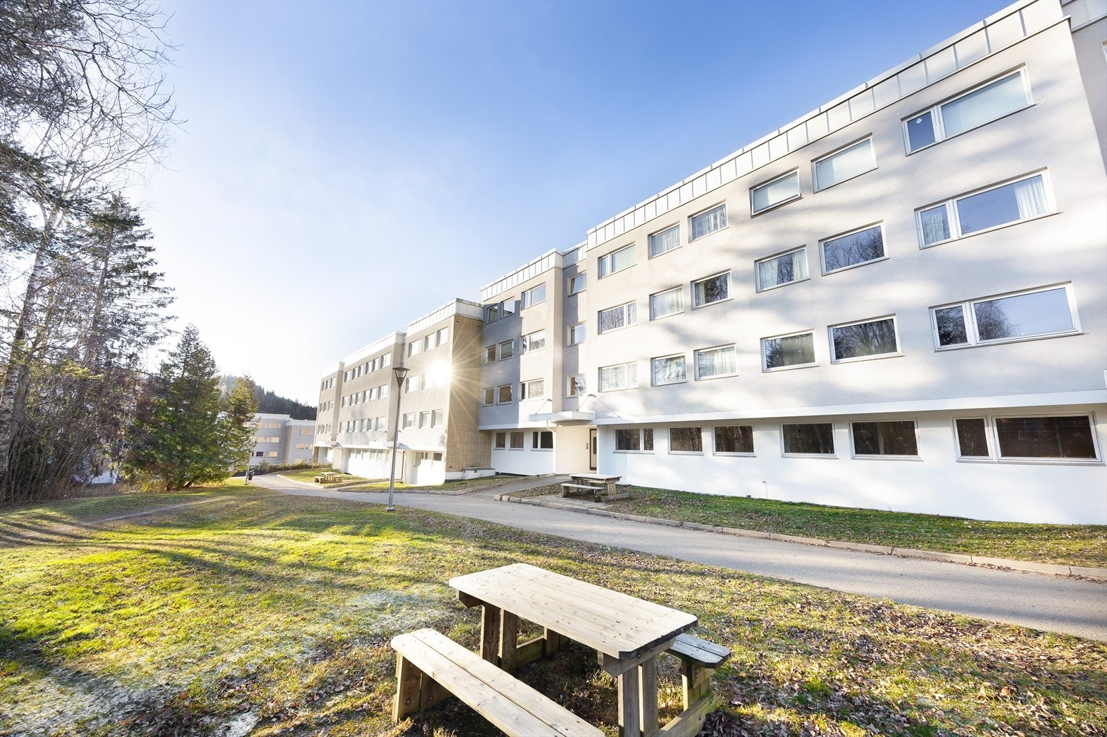 Velkommen til visning. Galleribilde