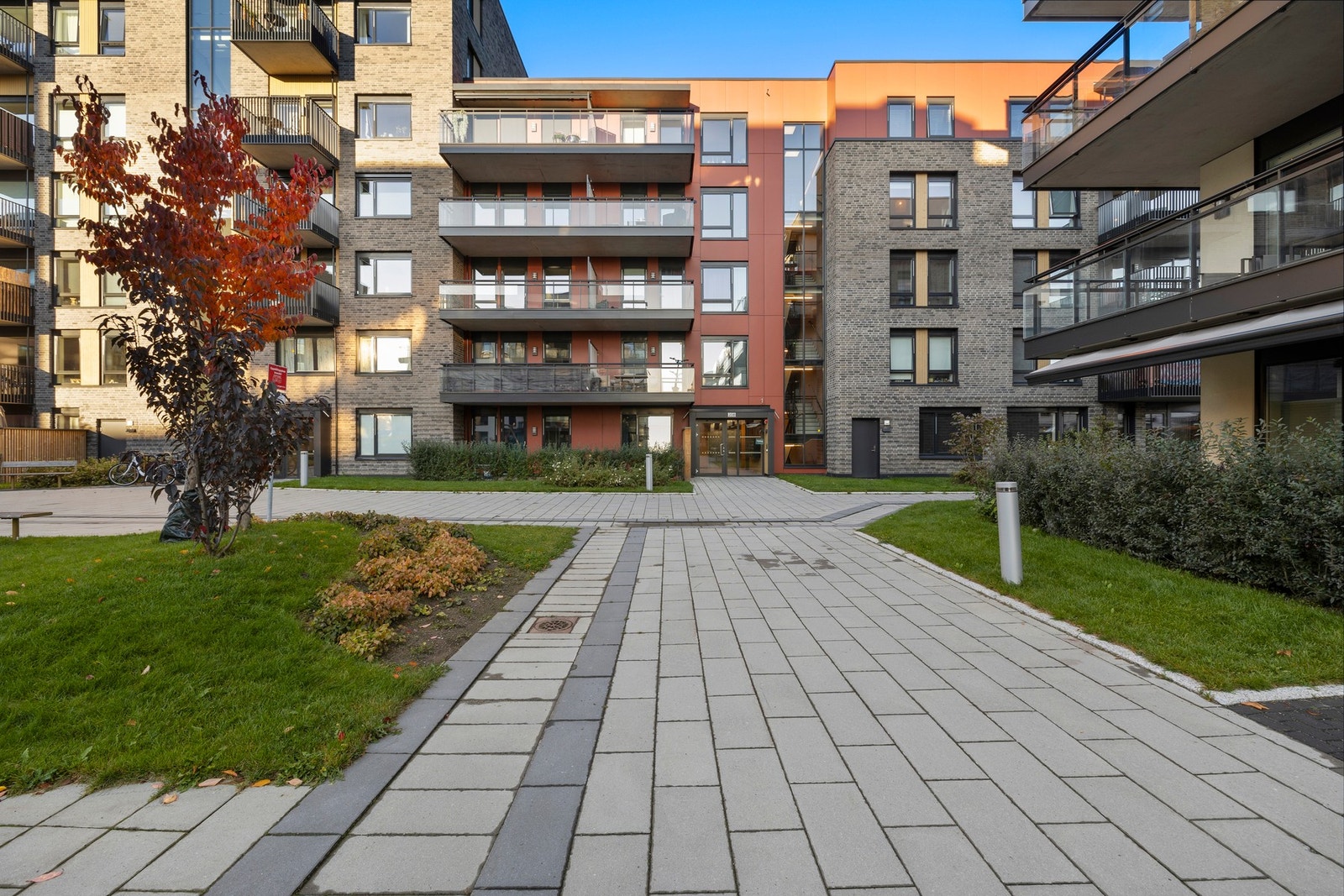 Pent opparbeidet uteareal med plen, beplantning og asfalterte internveier. Galleribilde