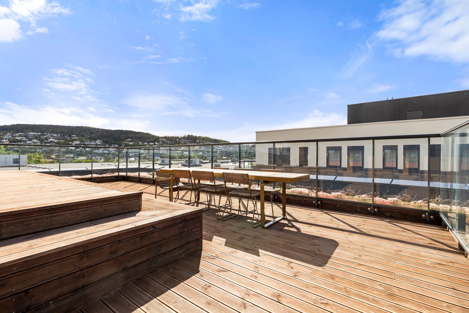 Felles takterrasse. Galleribilde