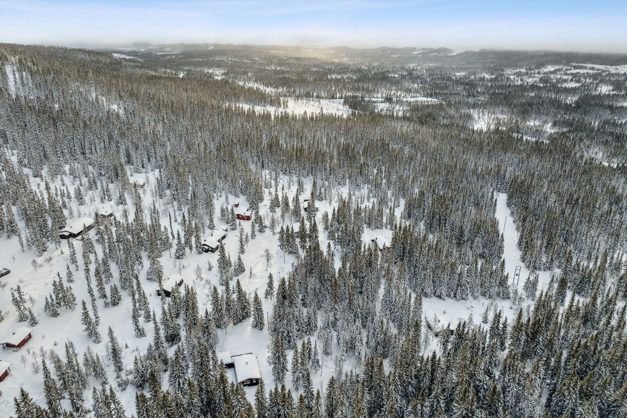 Hytta ligger i et lite rolig hyttefelt 3 mil nord for Trysil sentrum Galleribilde