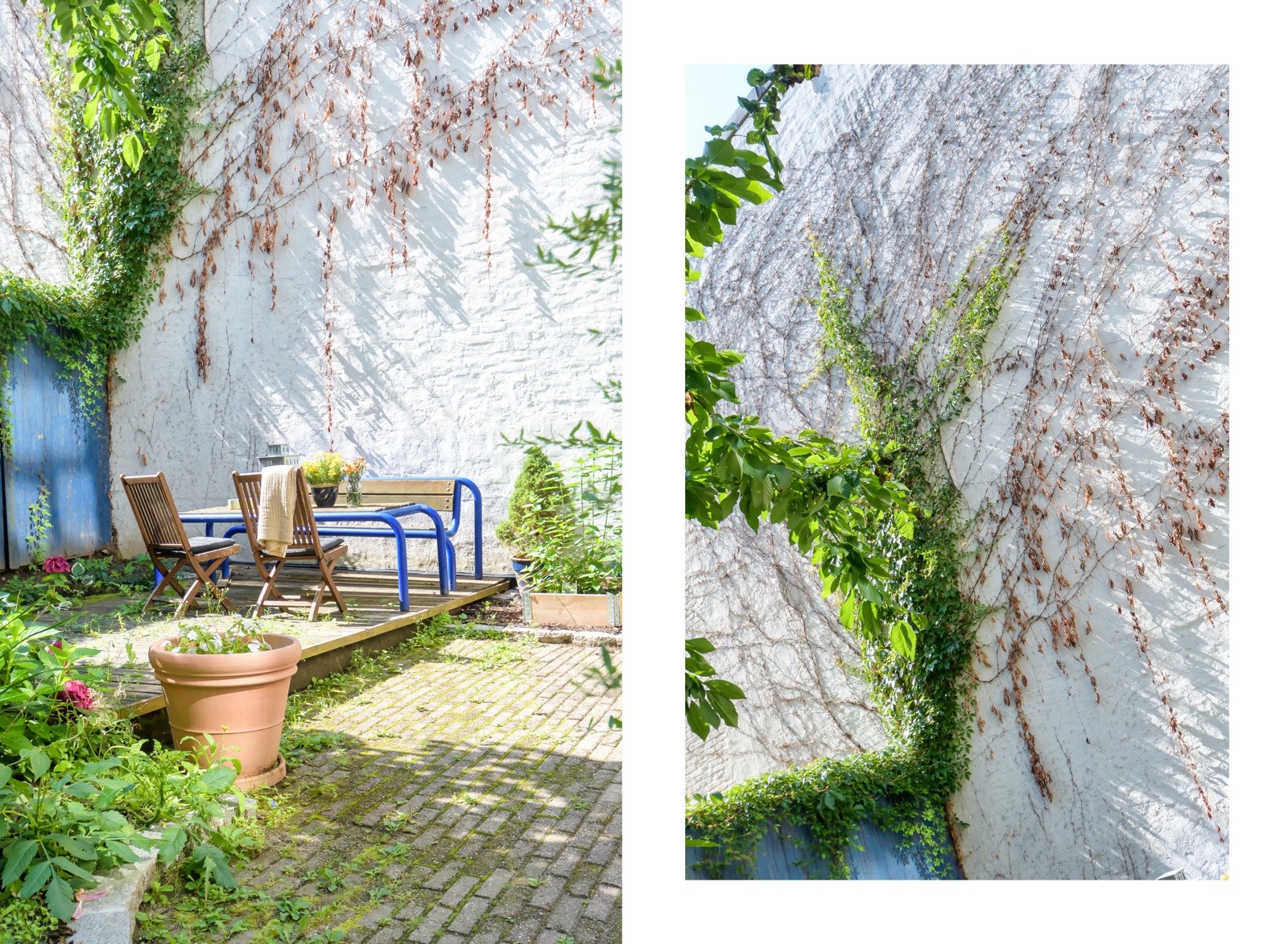 Bakgård med sitteplasser og beplantning. Galleribilde