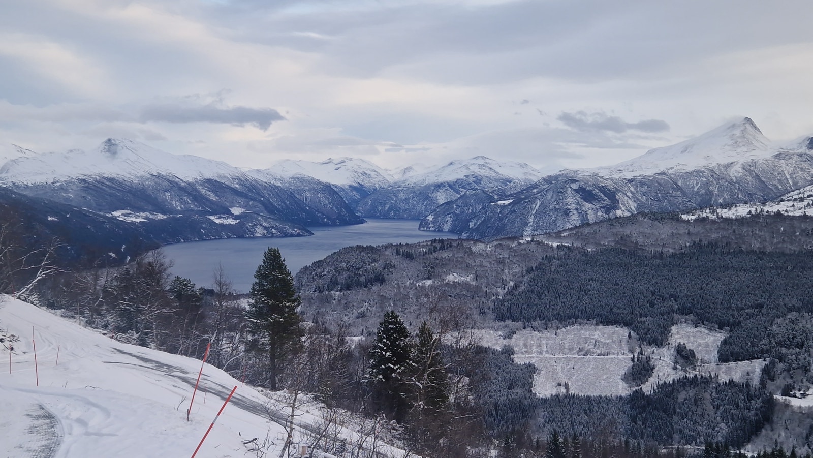 Øggardslia i vinterdrakt Galleribilde