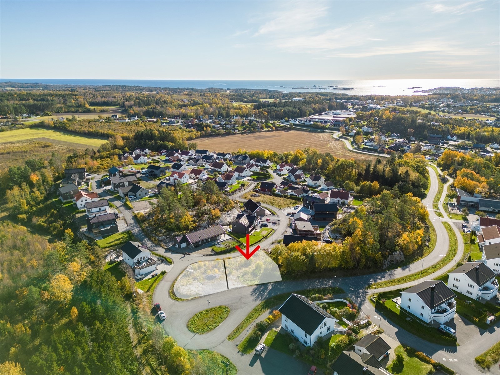 Torpelia 4 Galleribilde