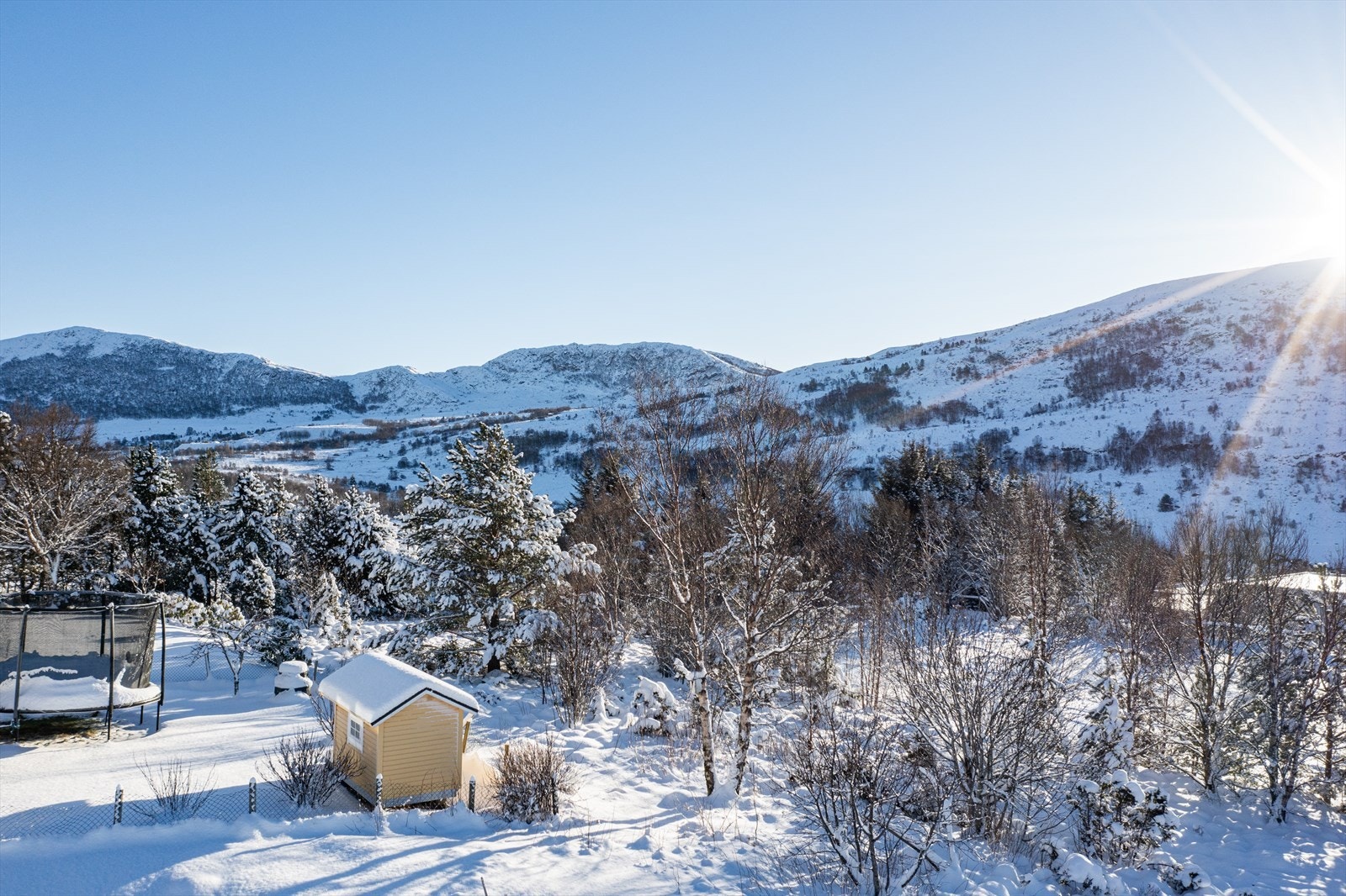 Gode solforhold på tomten Galleribilde