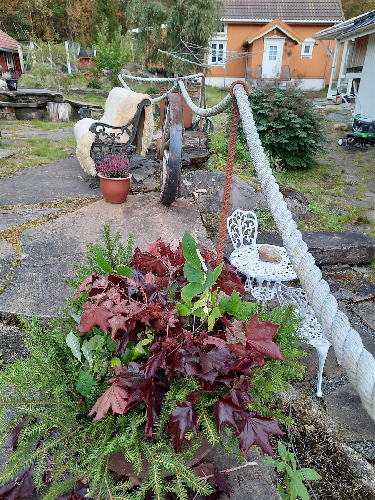 Privat bilde. Galleribilde