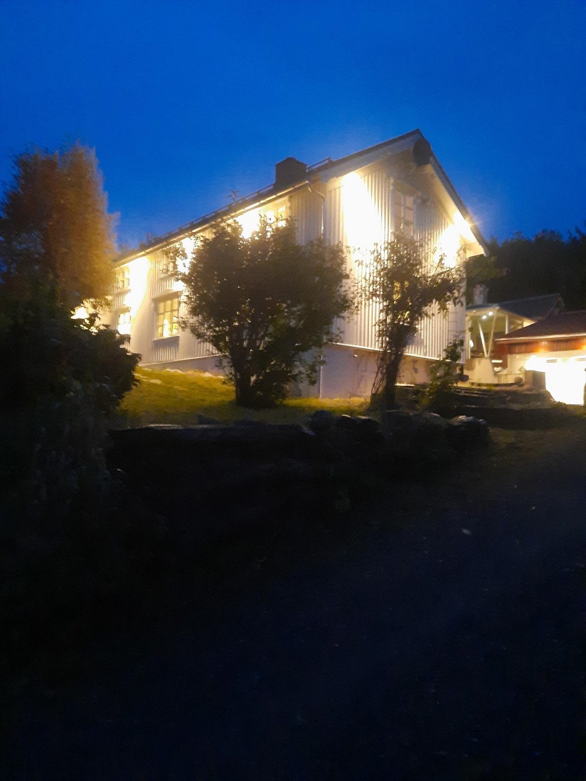 Privat bilde. Galleribilde