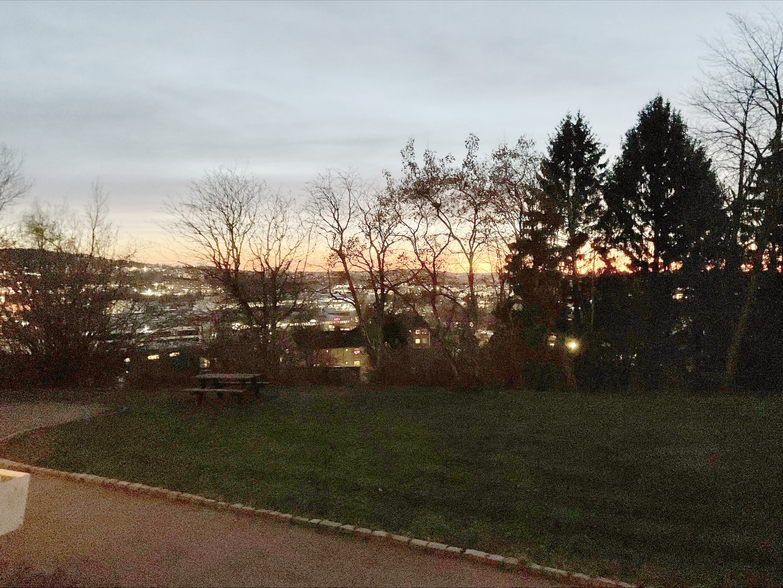 Selgers bilde. Galleribilde