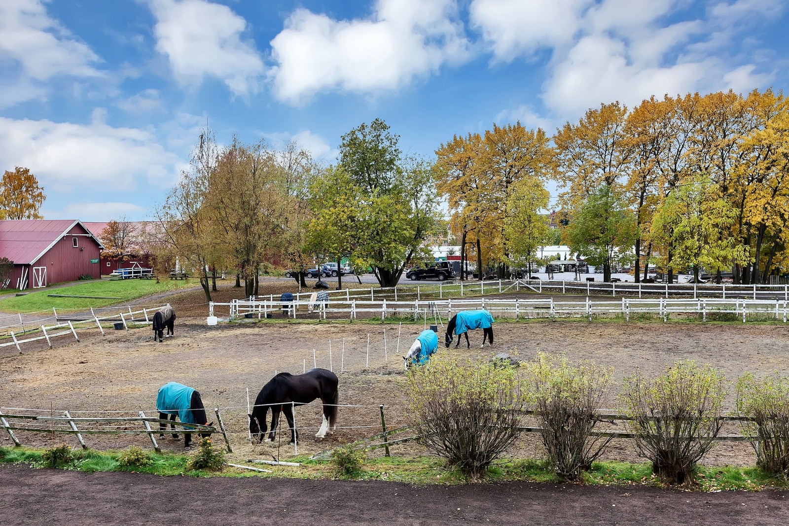 Besøksgård og rideskole midt i Oslo! Nordtvet Gård finner du på på Kalbakken i Oslo. Her har de en åpen besøksgård hver søndag og de tilbyr både rideskole og rideleir. Galleribilde