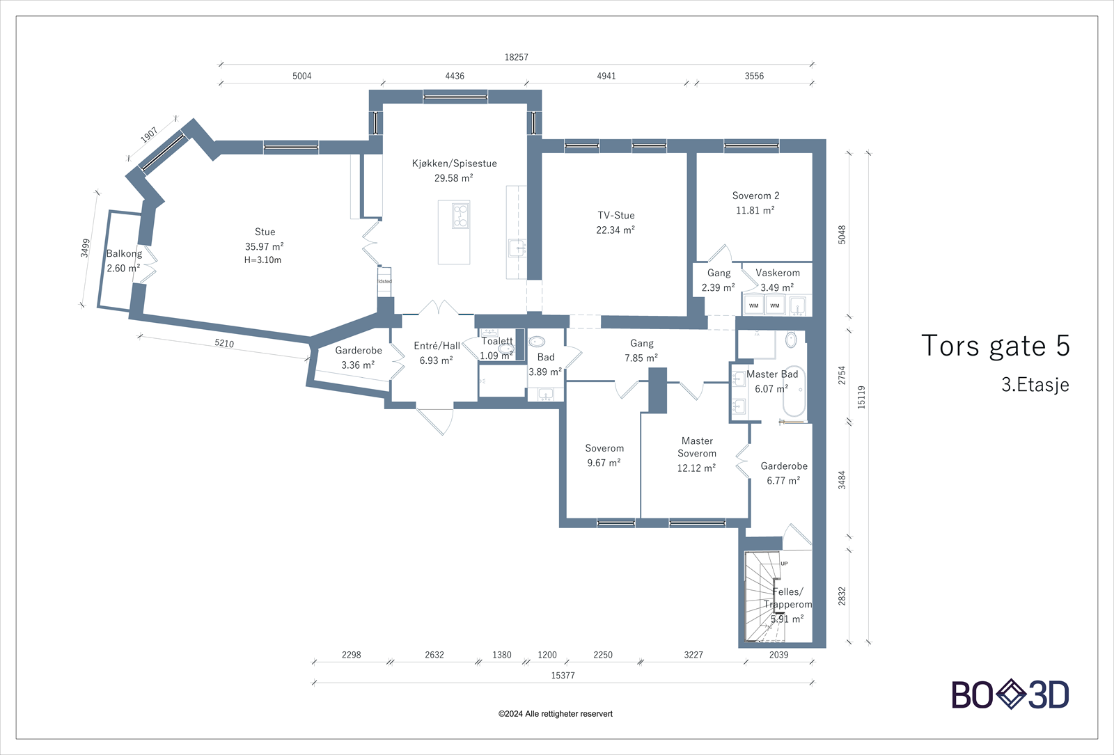 Plantegning - ikke målbar Galleribilde