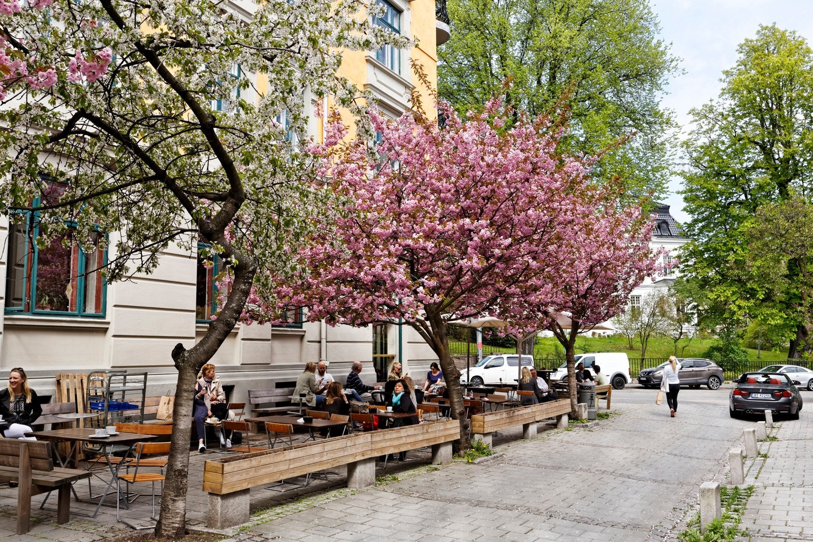 Nærområde Galleribilde