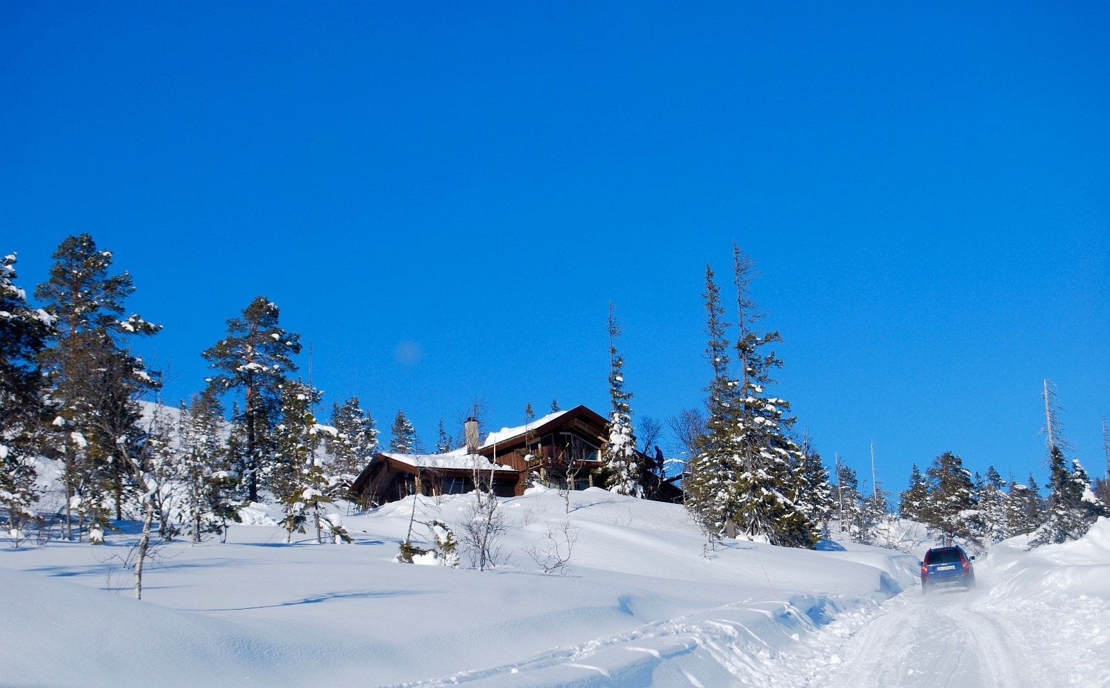 Her på vei opp mot Bjørgåa og de øverste tomtene. Tomtene ligger i toppen av denne bakken til høyre Galleribilde