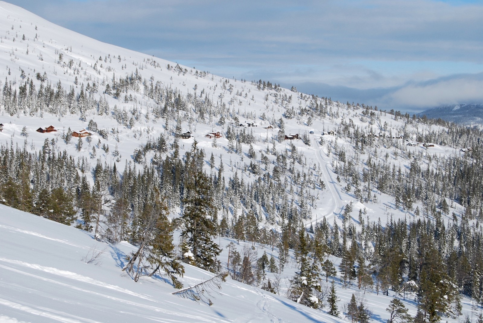 Her ser vi fra Paradistrekket mot Bjørgåa i nord og tomtene i øvre del av Bjørgan Galleribilde