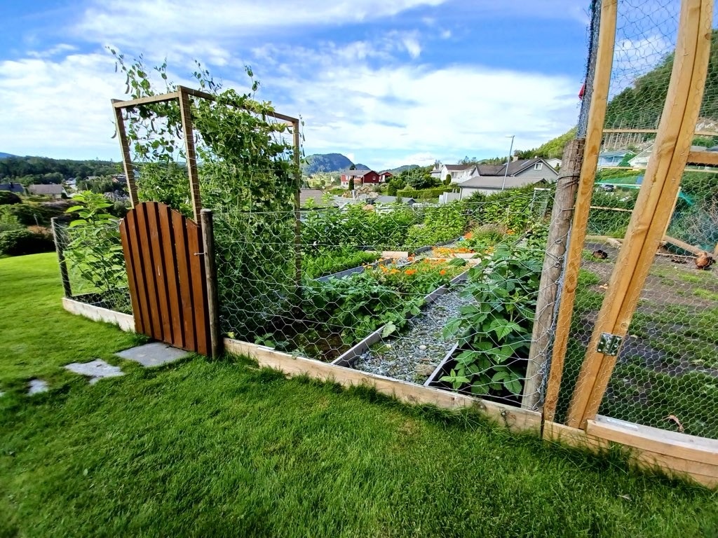 Kjøkkenhage Galleribilde