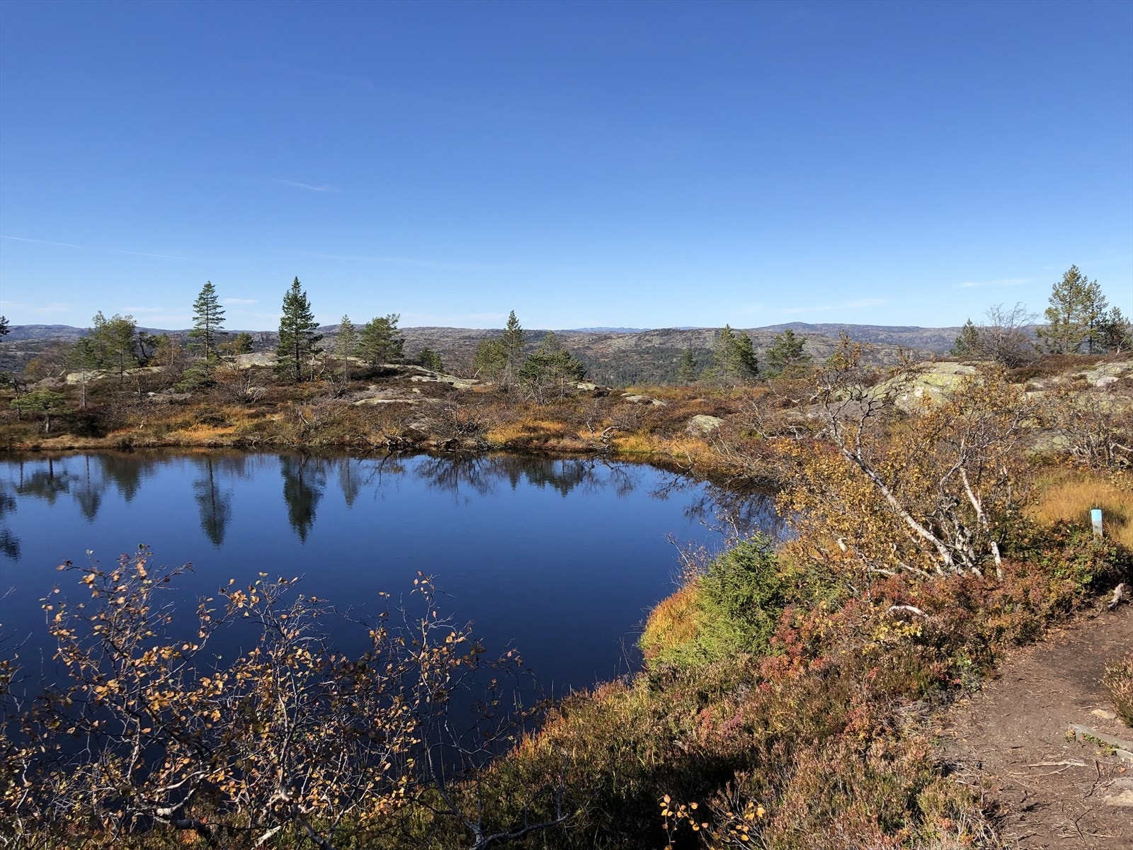 IMG_0168.jpeg Galleribilde