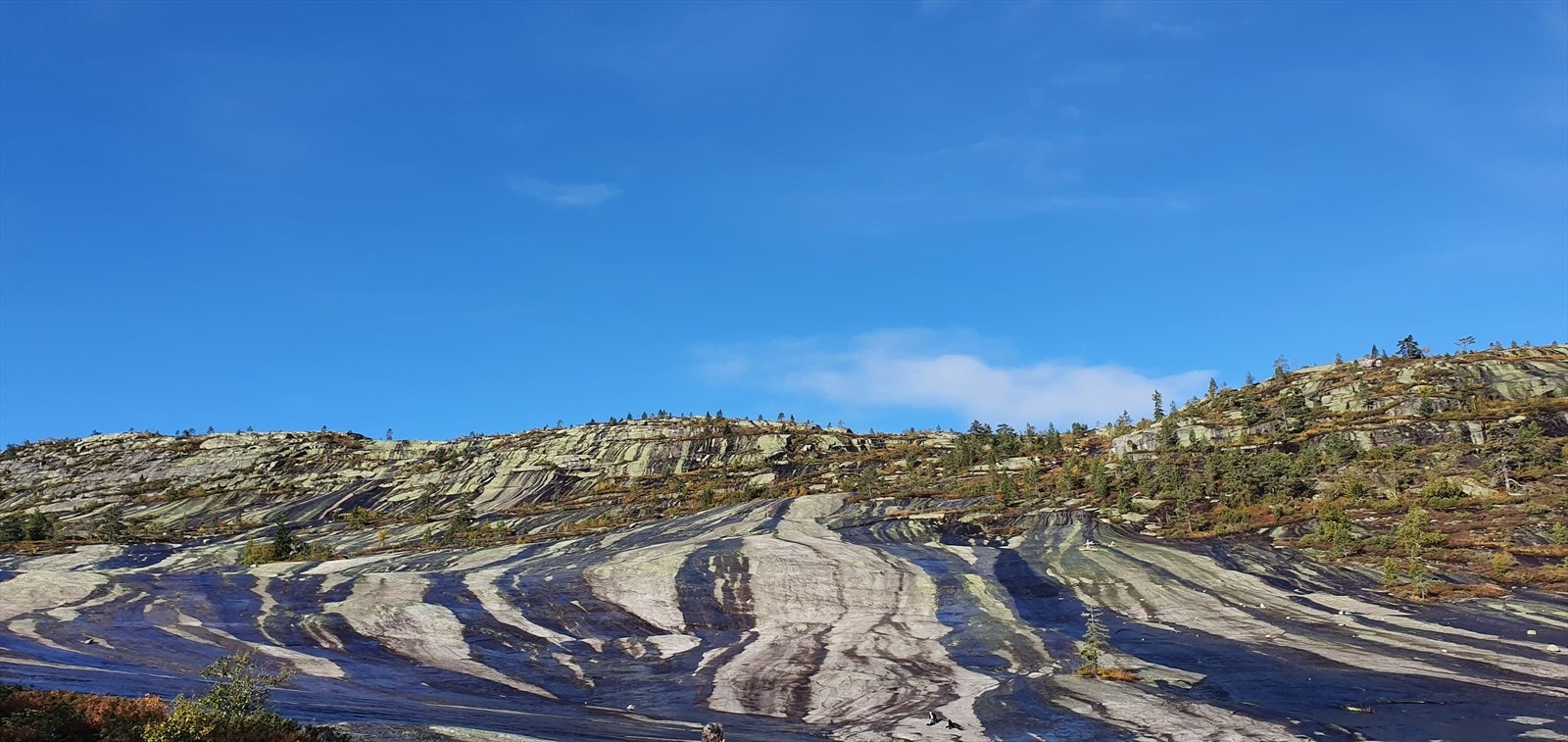 Himmelriket Galleribilde