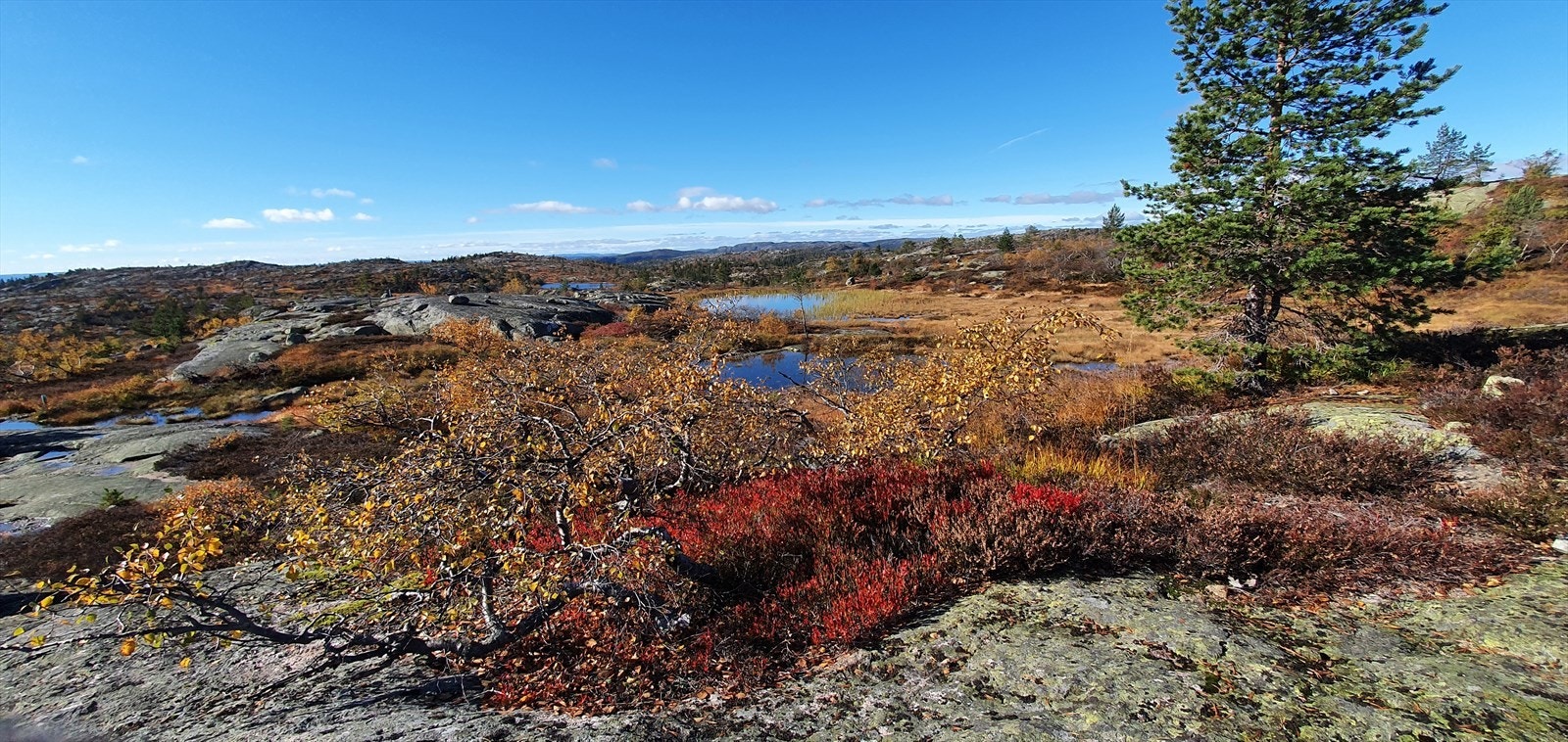 Flotte turstier innover fjellet... Galleribilde
