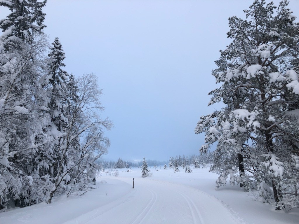 Ut på ski.. Galleribilde