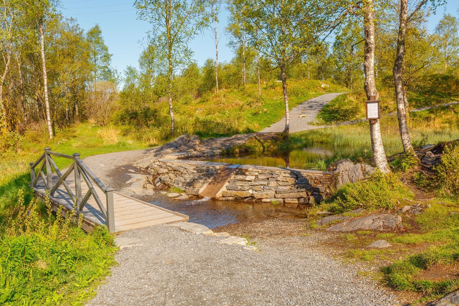 Populære Smørås Galleribilde