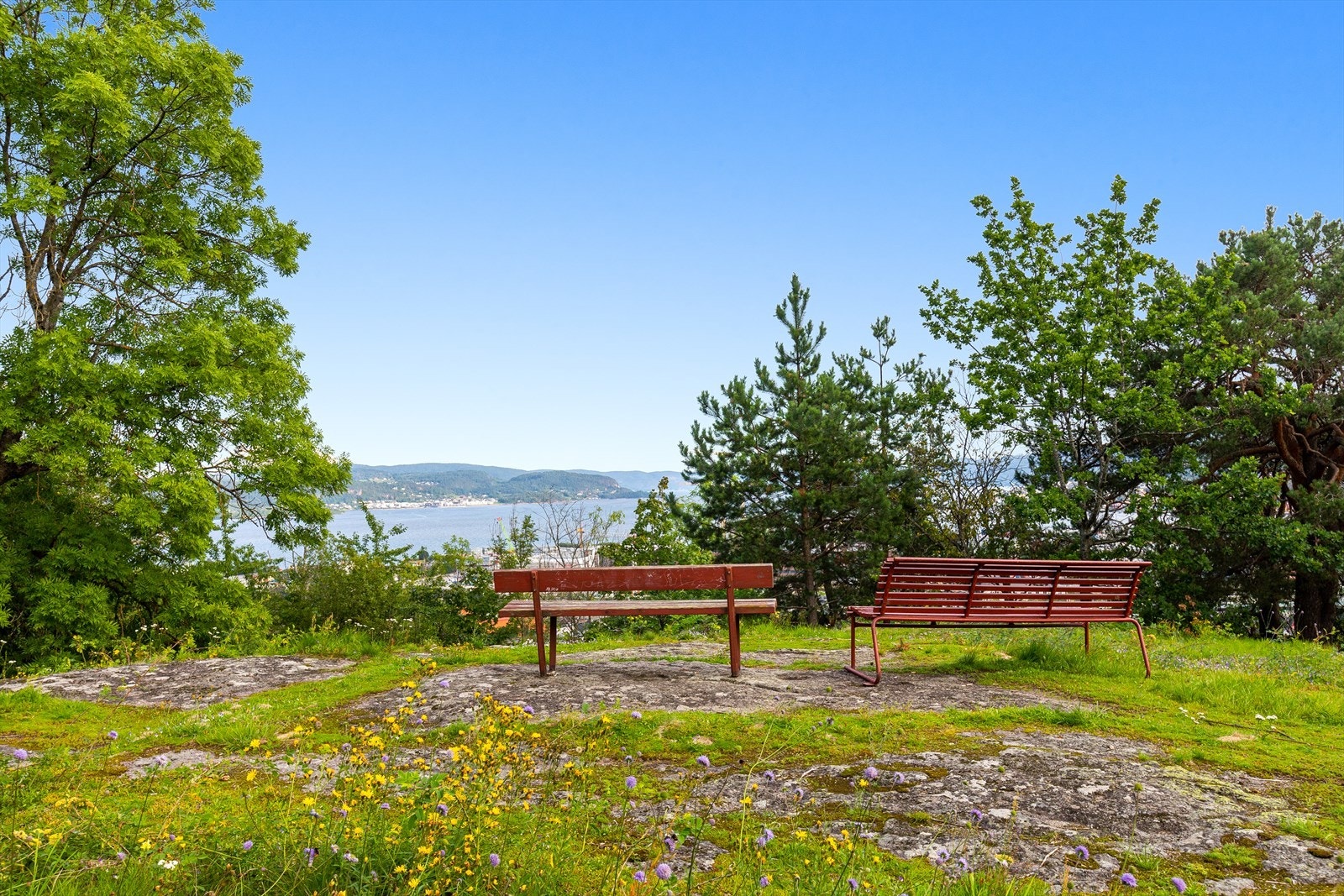 Området er et eldorado for små og store, to- og firbeinte Galleribilde