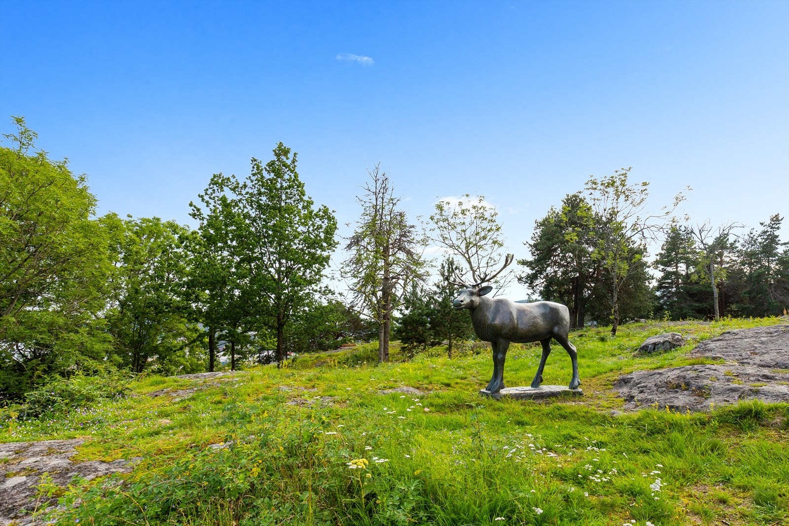 Flotte Løkkebergparken i nærområdet. Galleribilde