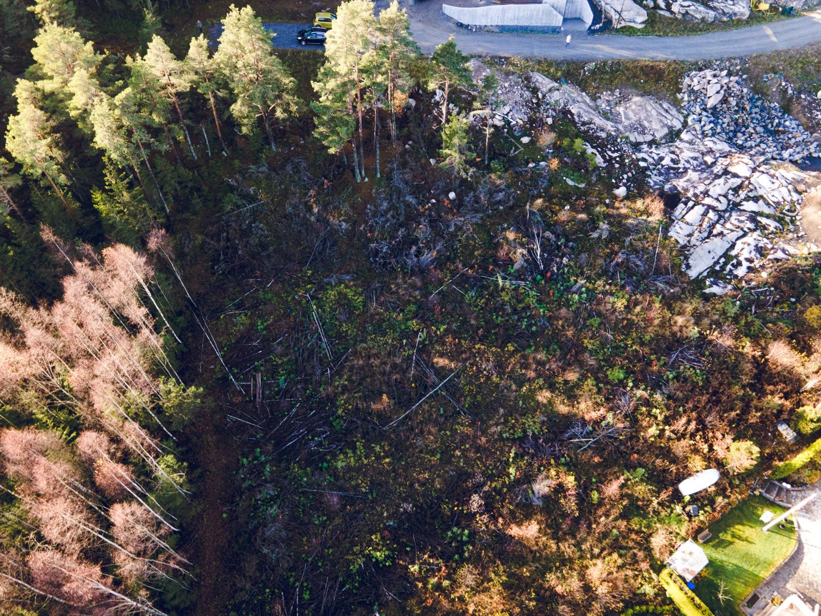 DJI_0153 Galleribilde