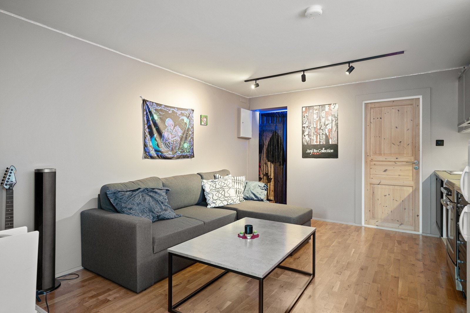 Stue i studioleilighet. Galleribilde