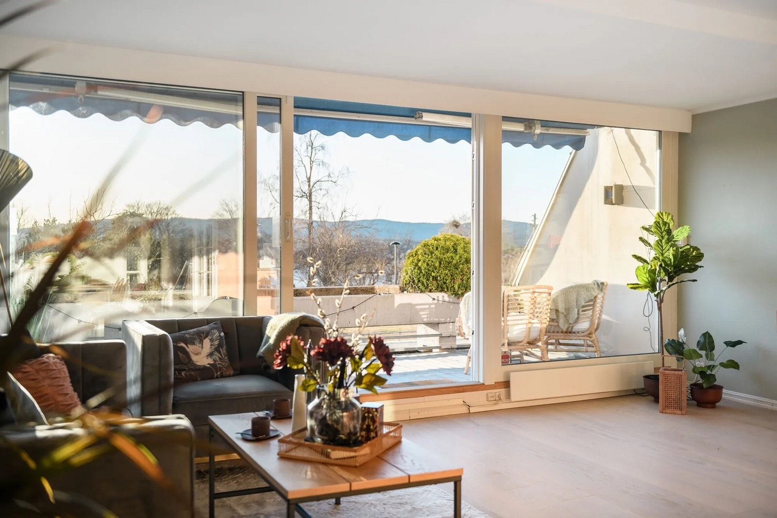 Flott sosial sone. Galleribilde