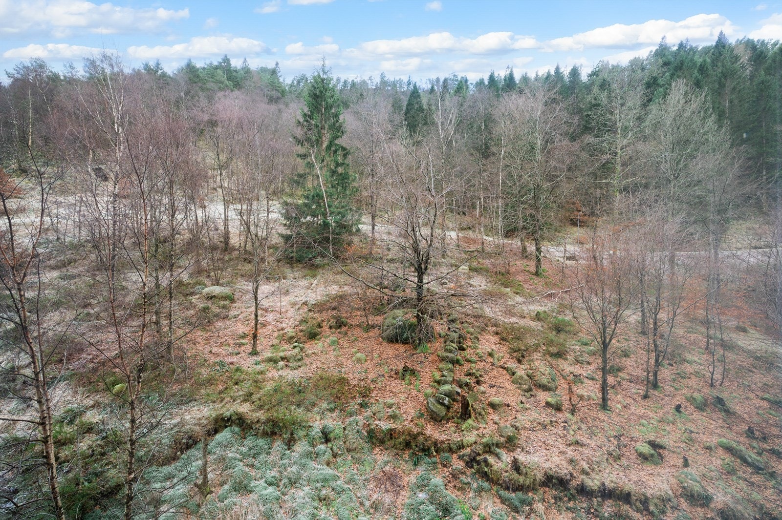 Utsikten fra stuen til Løvstien. Galleribilde