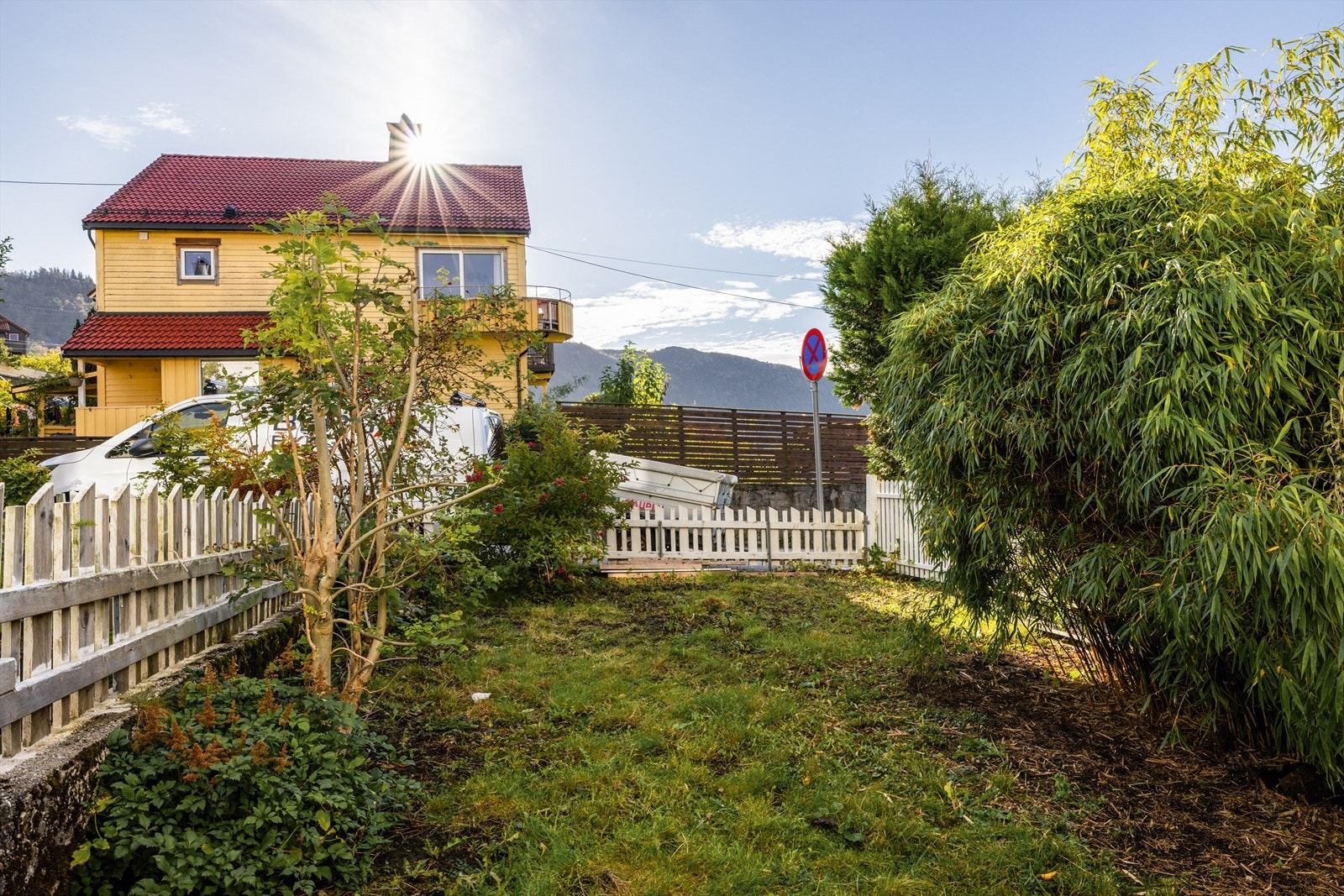 Denne er av meget god størrelse og nyter bl.a. gode solforhold. Galleribilde