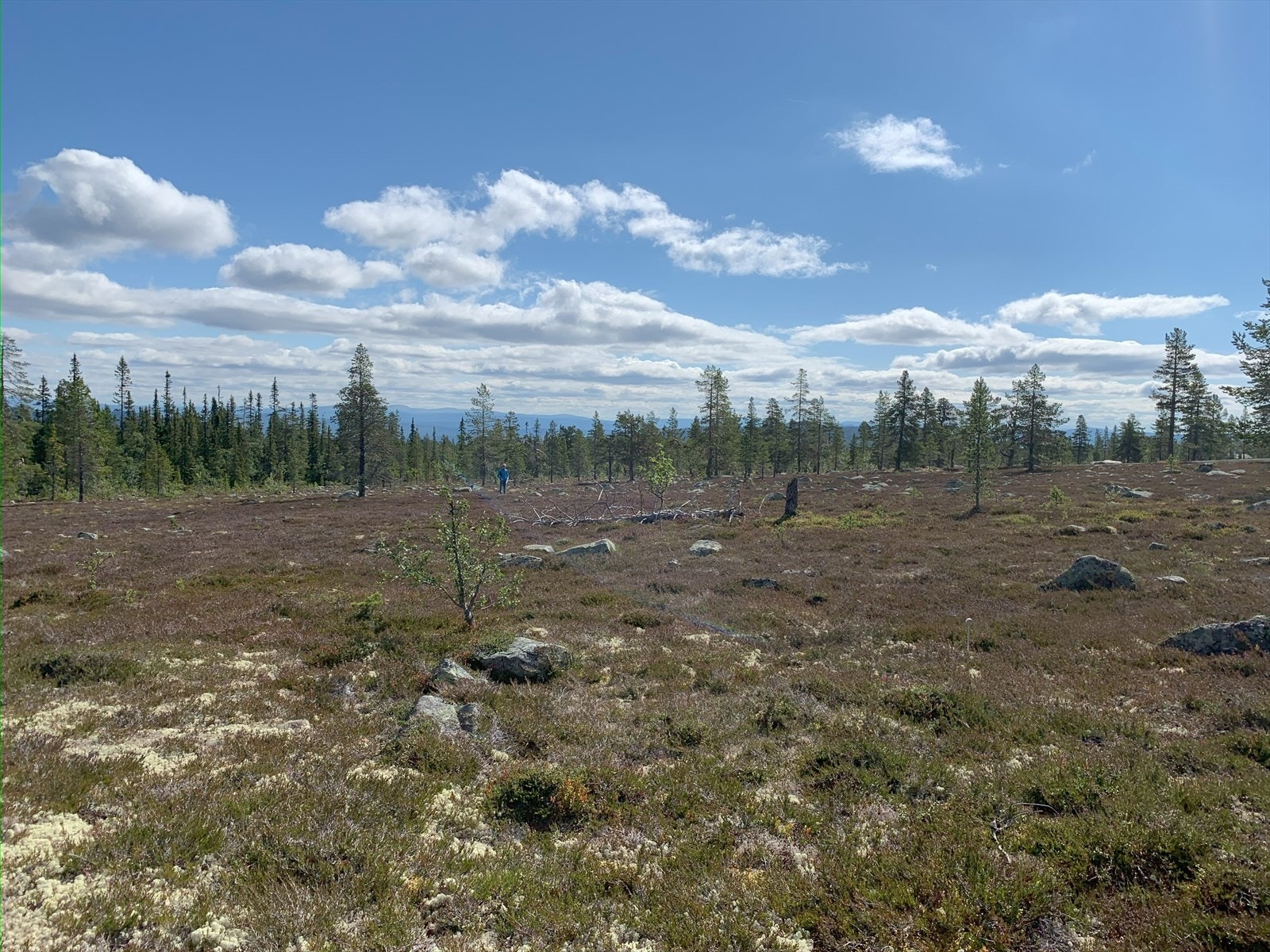 Velkommen til Østre Geitryggen 61! Galleribilde