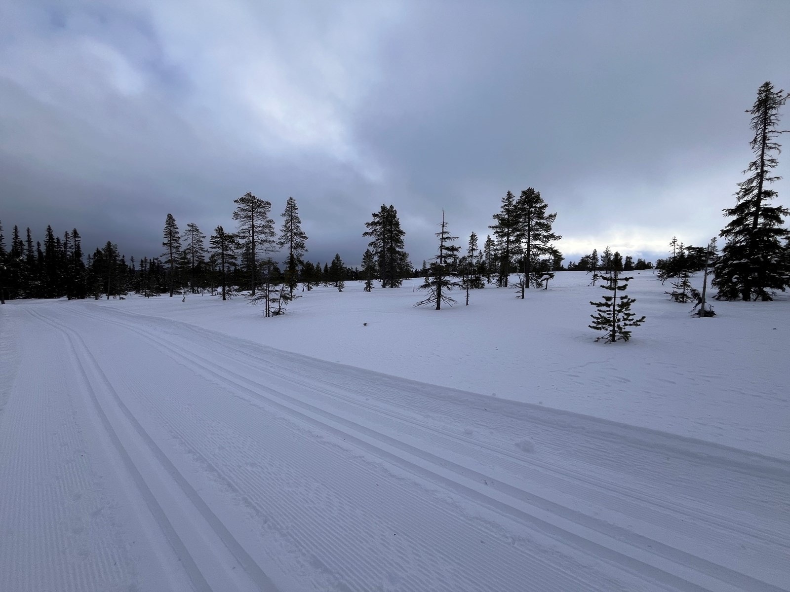 Skiløyper. Galleribilde