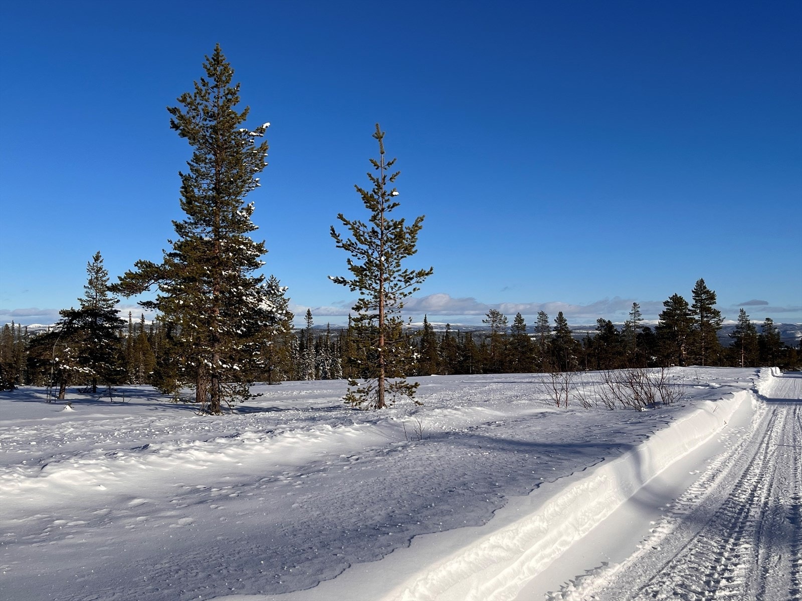 Tomten på vinterstid. Galleribilde